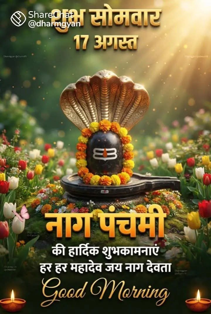 Nag Panchami greeting: a Shivling under a five-headed serpent, marigolds and diyas — ‘शुभ सोमवार, नाग पंचमी की हार्दिक शुभकामनाएं, Good Morning’.
