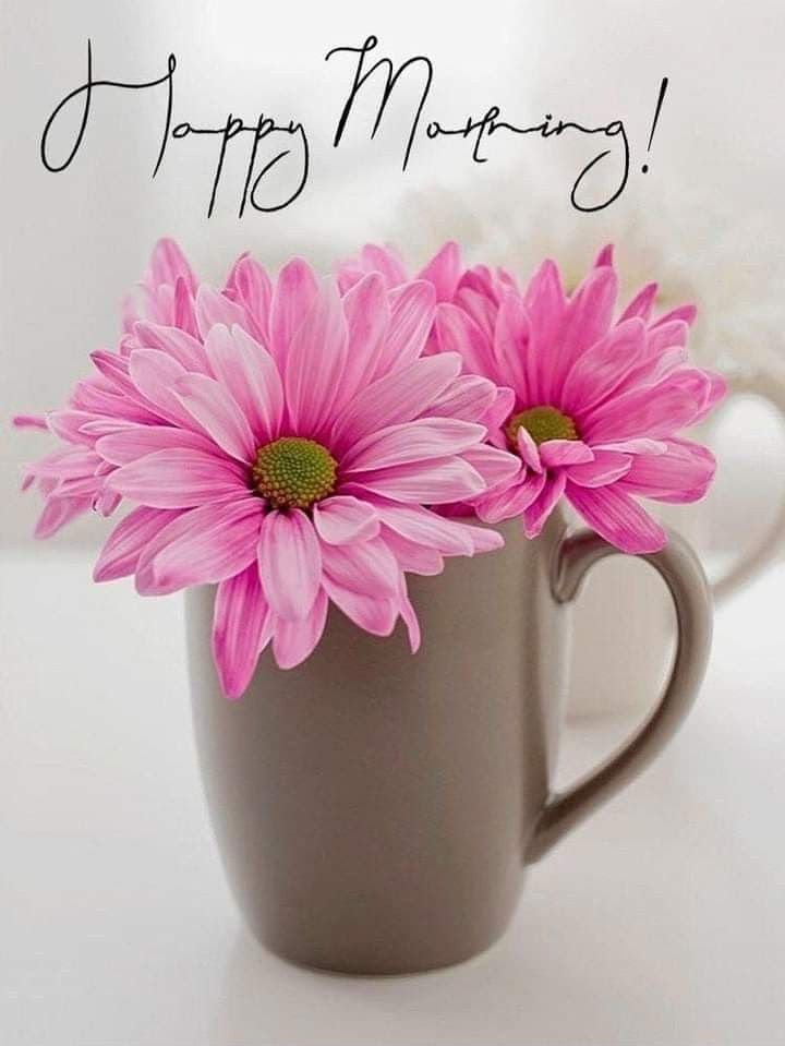 Pink daisies in a grey mug on a white table: ‘Happy Morning!’.